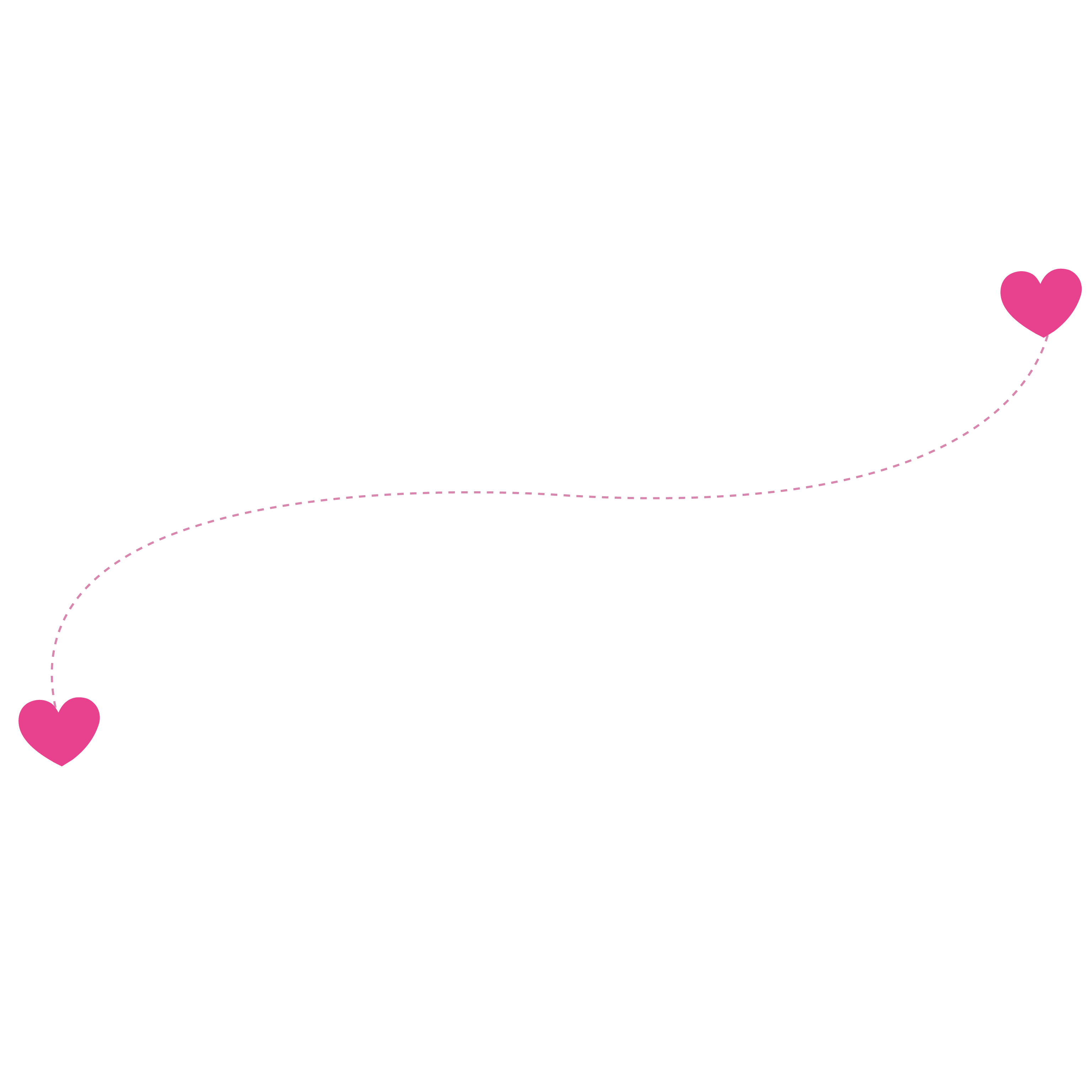 decorative dotted line